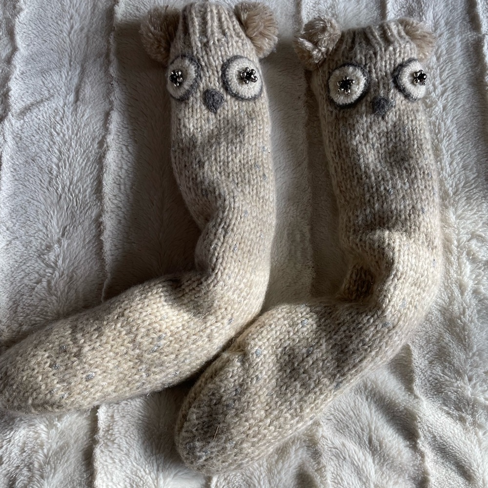 Chapters owl reading socks